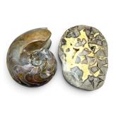 Pair of Polished Ammonite & Septarian Specimen