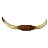 Mounted Steer Horns Wall Decor