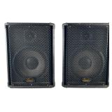 A Pair of Squier by Fender 4 SPEAKER PA Cabinets
