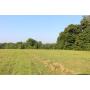 Williamson County Land Tracts - Bethesda Community