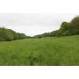 47 Acre tract selling as a whole