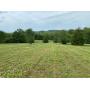 49 Acres in Spring Hill