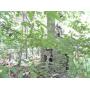 12 Acre Parcel Sackett Creek Rd Nichols, NY
