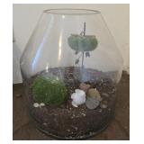 Glass Terrarium