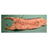 Fox Animal Pelt Greenblatt South Bend, IN