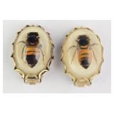 Vintage Bee Specimen In Resin Clip-on Earrings