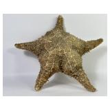 Large Dried Seashore Star Fish Specimen