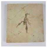 Fossilized Crustacean Lobster In Limestone