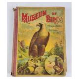 'Museum Of Birds' By L.B. Miller (1898)