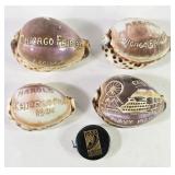 1934 Chicago World's Fair Carved Cowrie Seashells