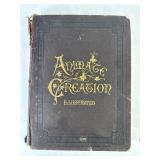 ï¿½Animate Creationï¿½ Bol. VI By J.G. Wood (1898)