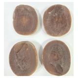 Fossilized Essexella Asherae Jellyfish Nodules (4)
