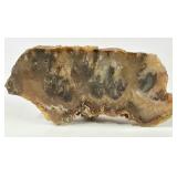 Polished Plume Root Agate Specimen