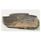 Dark Petrified Wood Specimen