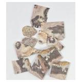 Mexican Crazy Lace Agate Slices (11)