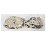 Fossilized Marine Concretion w/ Lobster Claws