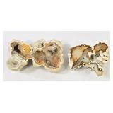 Agatized Fossil Coral Druzy Lining Geode