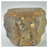 Fossilized Whale Vertebrae