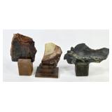 Petrified Wood Slabs w/ Displays