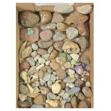 Septarian, Amethyst, Fossils, Pyrite Raw Stones +