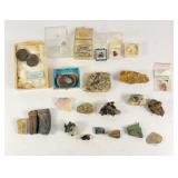 Fossilized Teeth, Rocks, Minerals, Crystals+