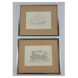 Sand Dollar, Shell Pencil Drawings By Hammond