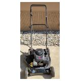Murray E450 20 in. Gas Mower