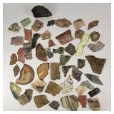 Jade, Agate, Fossilized Shells+ Slabs (Approx. 50)