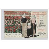 Holland, MI Tulip Festival Postcard