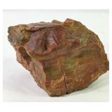 Arizona Petrified Wood