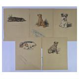 Vintage Dog Illustrations By Lucy Dawson