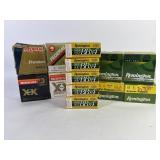 Remington, Federal 12 Ga. 3' Shotgun Shells