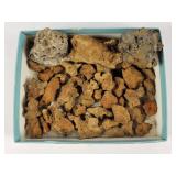 Meteorite Stone Rock Fragments