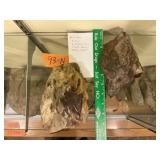 CANADA SEA FLOOR ROCKS