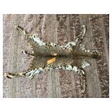 CAT SKIN W HEAD + FEET