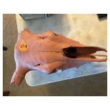 COW SKULL