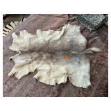 ANIMAL SKIN DEER?