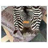 ZEBRA SKIN W HEAD + PIECES