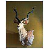GREATER KUDU