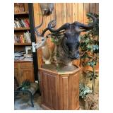 IMPALA +BLUE WILDEBEEST ON STAND 36" WIDE, 6