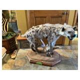 FULL HYENA MOUNT SCENE, 1 TUSK AND SET OF HORNS