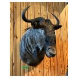 WILDEBEEST BLUE