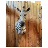ZEBRA SHOULDER MOUNT, 38" TALL, 20"WIDE