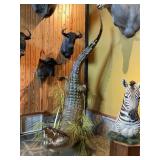 CROCODILE 14 FEET LONG, SEE DESCRIPTION