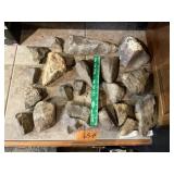 ROCKS, MAYBE FOSSILS