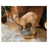 SMALL KILPSPRINGER FULL MOUNT