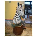 ZEBRA PEDESTAL MOUNT-64" TALL, 28"WX39"DEEP