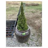 LARGE STONEWARE POT W TREE, 24"TX22"W