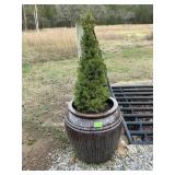 LARGE STONEWARE POT W TREE 24"TX22"W