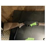 760 PUMP MASTER PELLET GUN